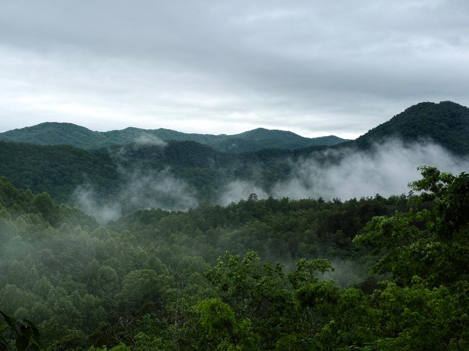 Panoramic morning mist — Heaven's Door vantage point