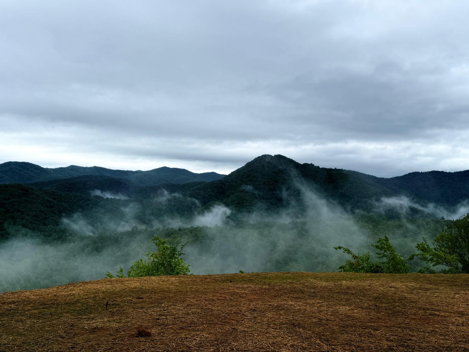 Lush forested mountain peak above the morning mist