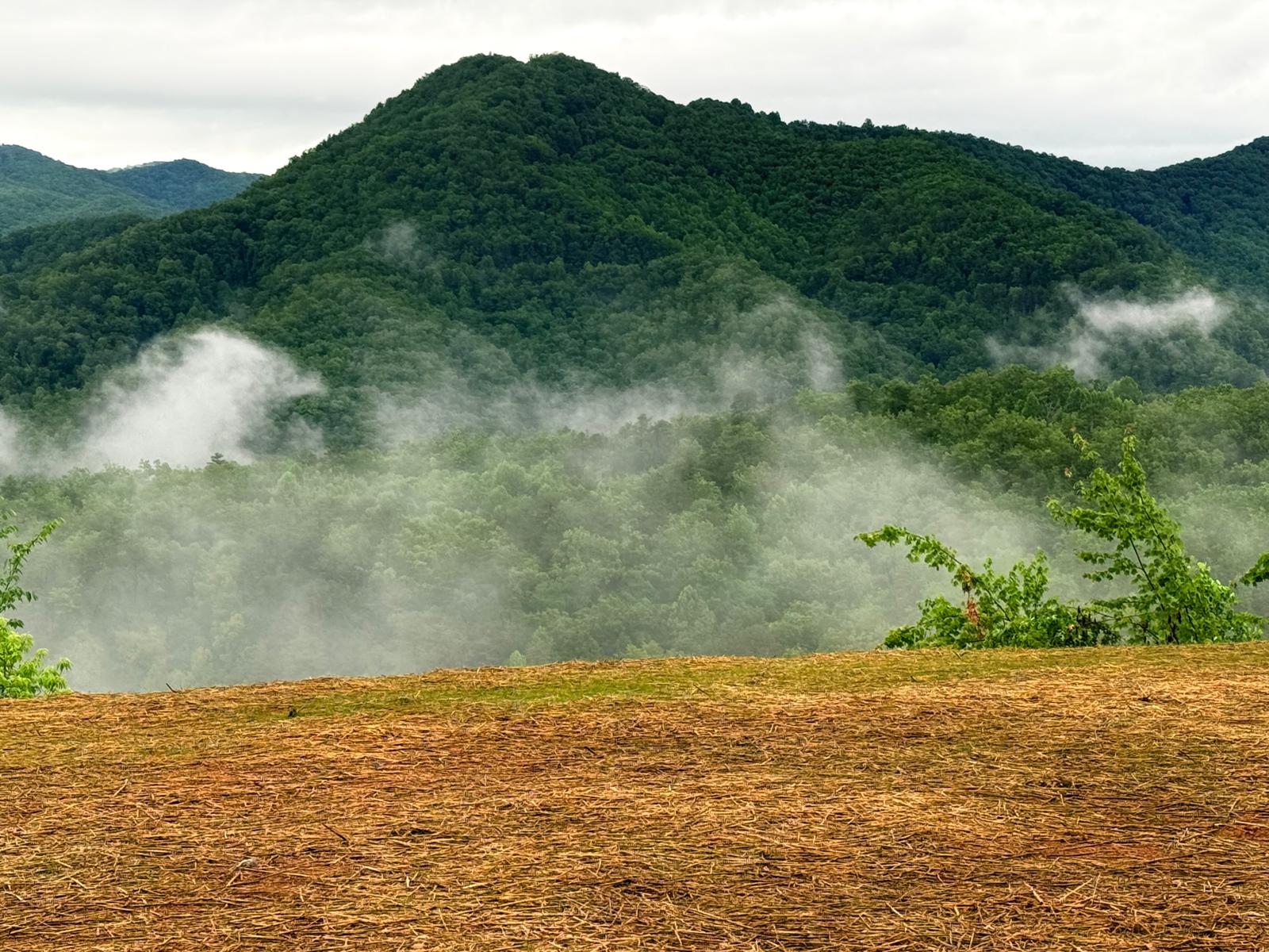Morning mist rising through the Great Smoky Mountains — the view from Heaven's Door at Ferncrest Bryson City