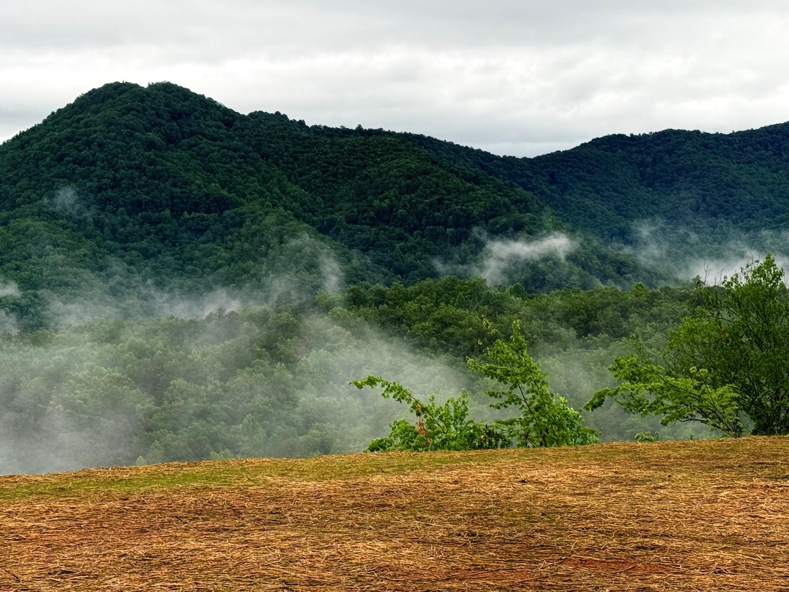 Summit view — dramatic mist and mountain ridges